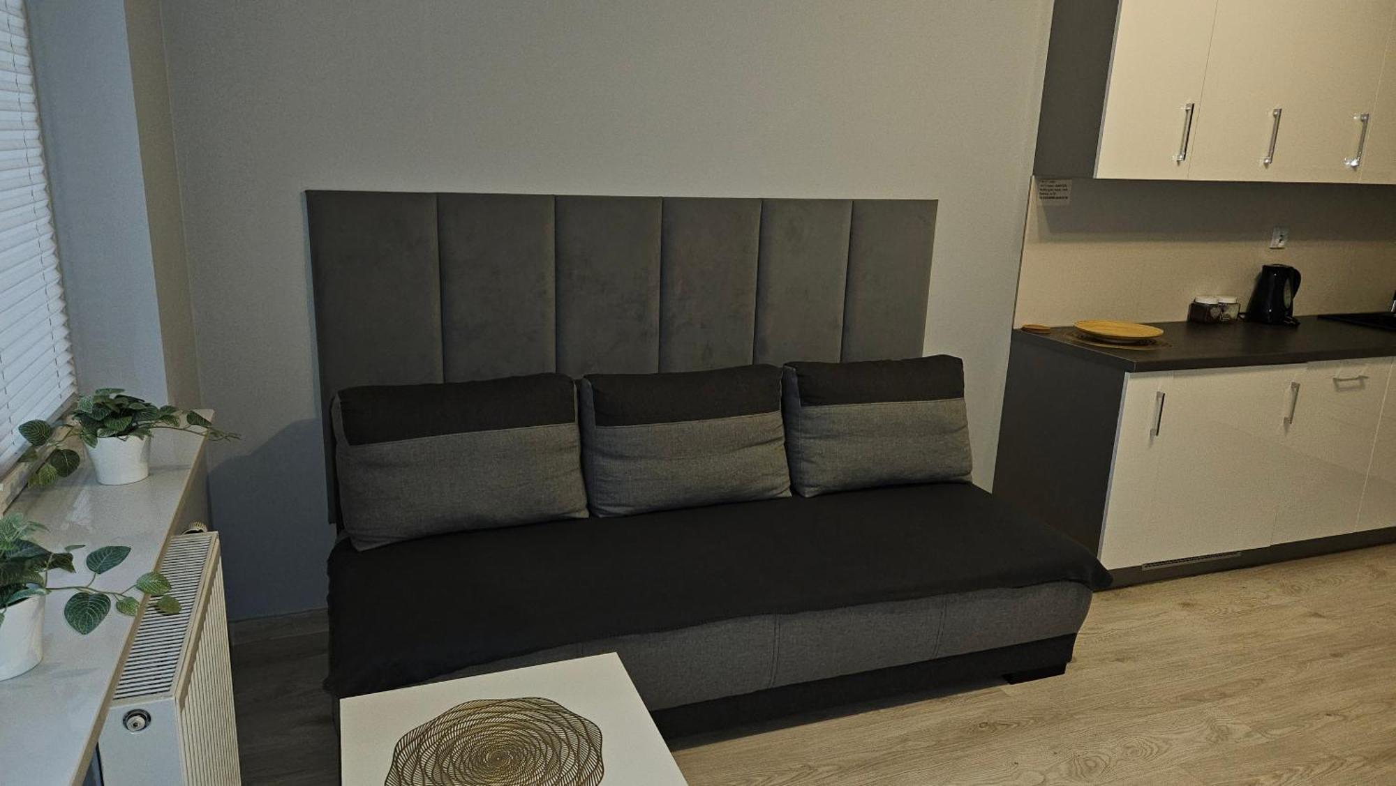 Jedenastka Apartment Plock Exterior photo